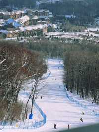 帶娃住進長白山凱悅!12月雪季遛娃天花板