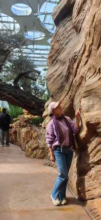 魔都打卡日記世博溫室花園+3號倉庫美食探店