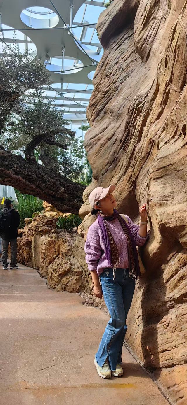 魔都打卡日記世博溫室花園+3號倉庫美食探店 魔都打卡日記世博溫室花園+3號倉庫美食探店