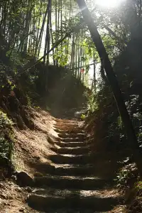 莫干山的雷