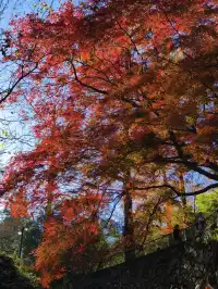 週末玩轉湖州莫干山 and 下渚湖濕地公園