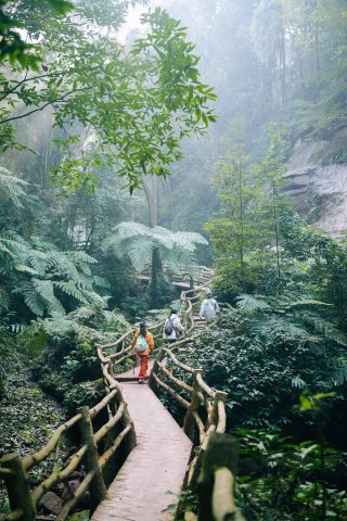 Chengdu 1.5h Super Suitable Parent-Child Hiking Oxygen Route