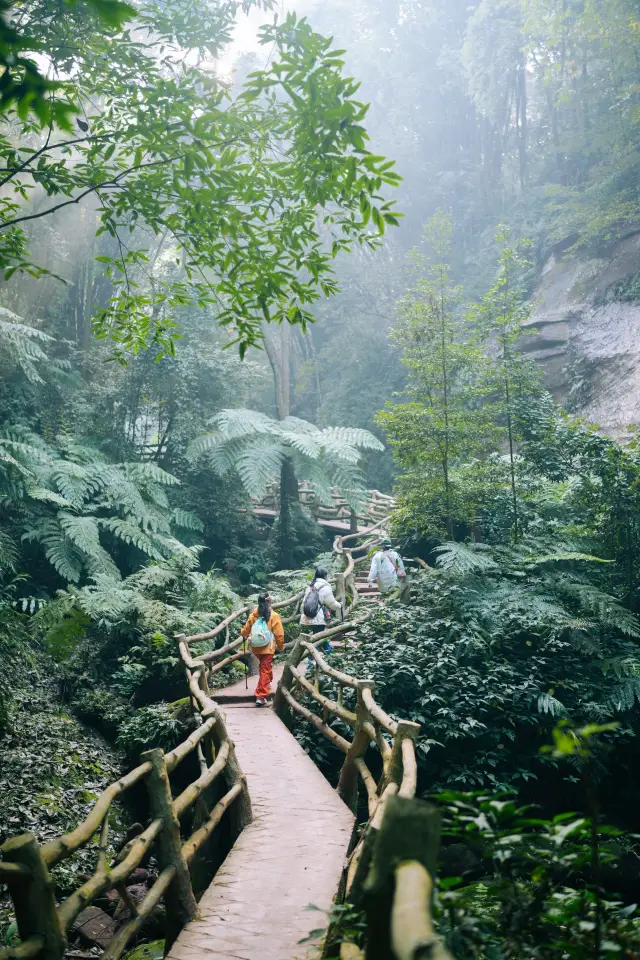 Chengdu 1.5h Super Suitable Parent-Child Hiking Oxygen Route