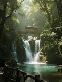 肇慶鼎湖山冬日仙境！親子避暑+吸氧攻略～