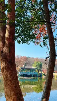 流徽榭，美得像金陵深秋的油畫秘境~