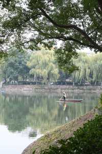 探訪寶島公園:都市中的靜謐一隅