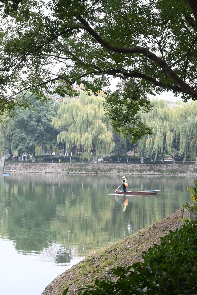 探訪寶島公園:都市中的靜謐一隅 探訪寶島公園:都市中的靜謐一隅