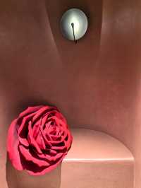 南京江心洲必打卡!燈塔咖啡館承包你的日落與浪漫