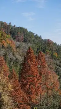安吉｜靈峰山與章里古道