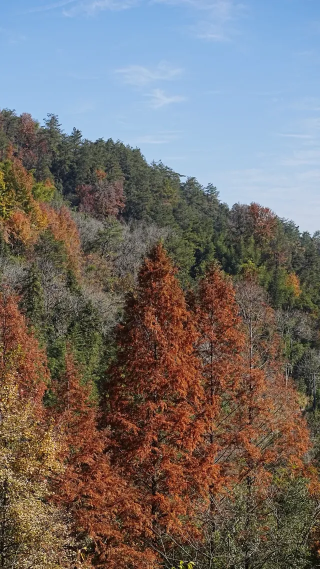 安吉｜靈峰山與章里古道