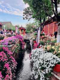 麗江古城|奔赴一場納西風情的浪漫之旅