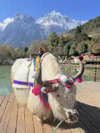 小小玉龍雪山,拿下!