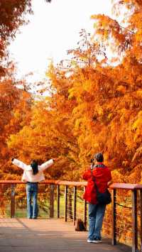 住對酒店,連散步都藏著極致浪漫