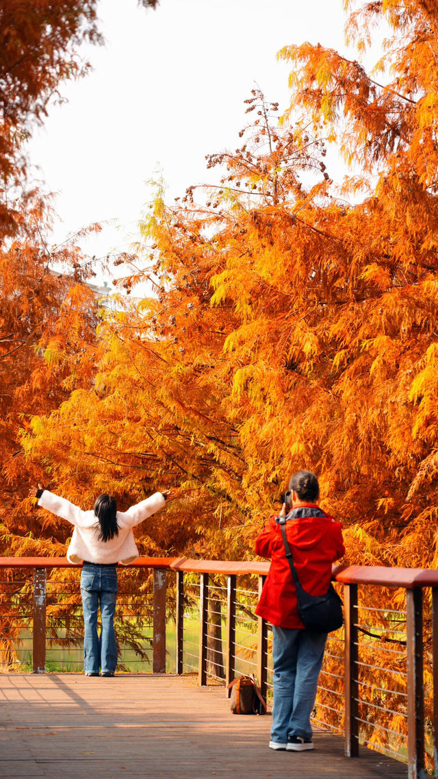 住對酒店,連散步都藏著極致浪漫 住對酒店,連散步都藏著極致浪漫