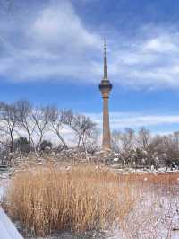 冬日限定雪景蘆葦打卡地