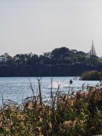 碧水揚波繪神湖,生態畫卷醉人心