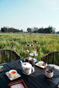 成都周邊1h冬日泡湯+麥田下午茶🫖