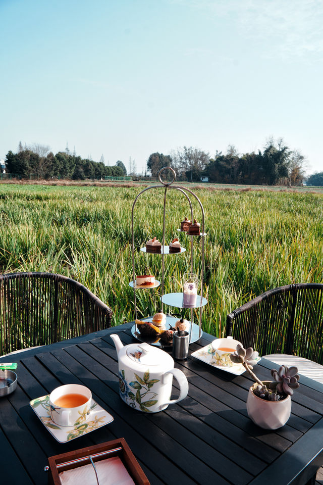 成都周邊1h冬日泡湯+麥田下午茶🫖
