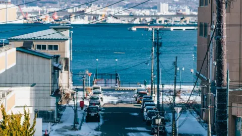 Winter in Hokkaido is stunningly beautiful! — traveler post in Biei