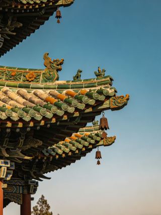 Discover the Beauty of Heyang, Witness the Wonder of Fen Spring at Qiachuan Wetland