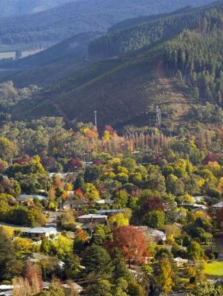 แนะนำความงามในฤดูใบไม้ร่วงของออสเตรเลีย