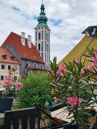 Hungary Sopron｜I Found Europe’s Most Beautiful Time Tunnel!