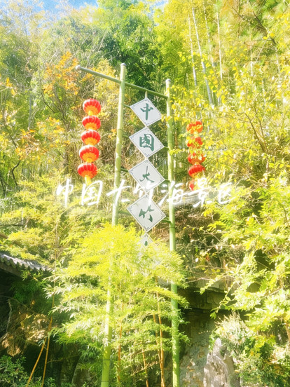 中国大竹海(卧虎藏龙取景地) 参考图 2