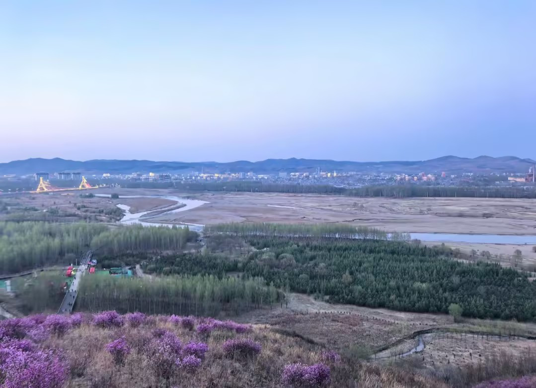 杜鵑花節攻略：闖入北疆的春日「雪火」秘境｜Trip.com 扎蘭屯