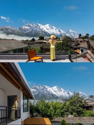 This guesthouse in Lijiang is so popular that even cats go crazy for it!