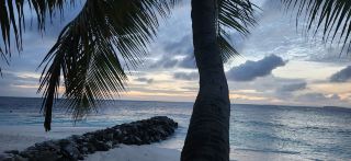 Exceptional Service at a Luxurious Resort
