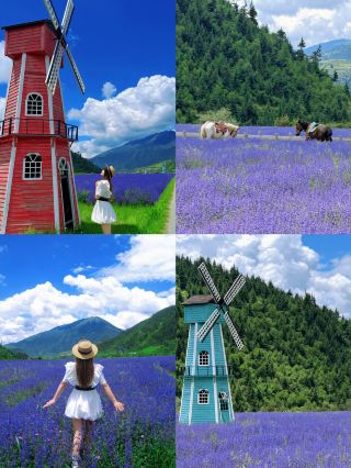 Suffering in Songpan is over|Really don’t recommend going from July to September because it’s just too much…