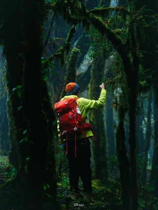 More Mysterious Than Shennongjia? Unlock the Hidden Secrets of Southern Yunnan with a Trek Through Ailao Mountain