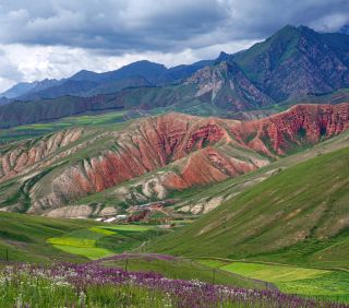 Zhuo'er Mountain, Qinghai | a fairyland surrounded by a sea of purple flowers