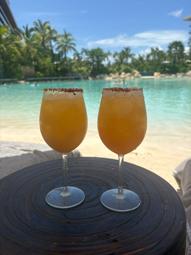 Fantastic Honeymoon at Secrets Moxche