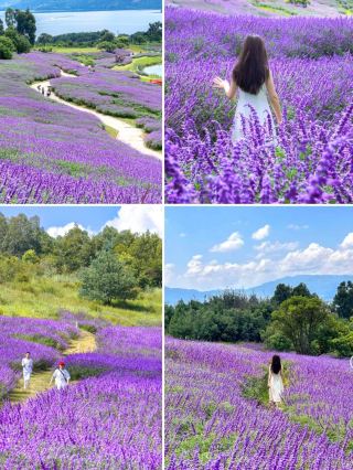 Kunming Autumn Guide (Sept–Oct) | 9 Hidden Autumn Spots Locals Love