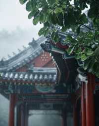 雨落蓮池,赴一場千年書院的水墨清歡