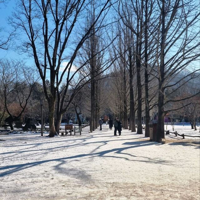 winter sonata in Nami Island