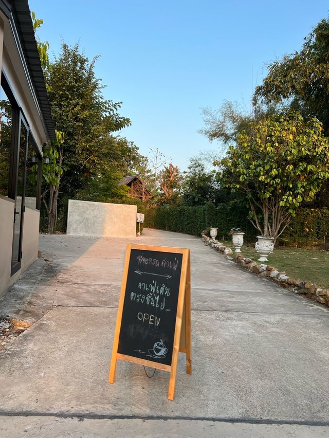 คาเฟ่แมว  Miku Cafe 🐱😽