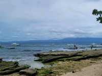 Apo Island, Dumaguete Philippines