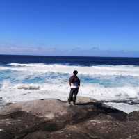 Sydney Bronte-Bondi Coastal Walk