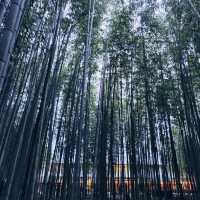 京都嵐山綠竹林徑