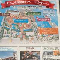 黑潮市場