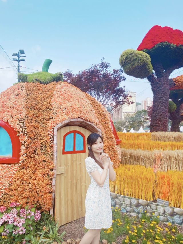 2023香港花卉展覽-萬千花海 2023香港花卉展覽-萬千花海