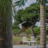 태안에서 동남아분위기 느낄 수 있는 엘렌리조트 🌴✨
