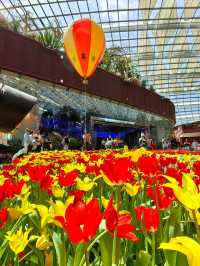 TulipMania @FlowerDome Gardens By The Bay