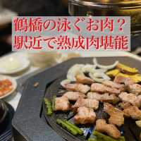 【大阪】水槽で泳ぐお肉！？鶴橋駅近のサムギョプサル