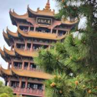 百聞不如一見