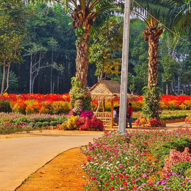 สวนดอกไม้ สุด ว้าว จ.กระบี่