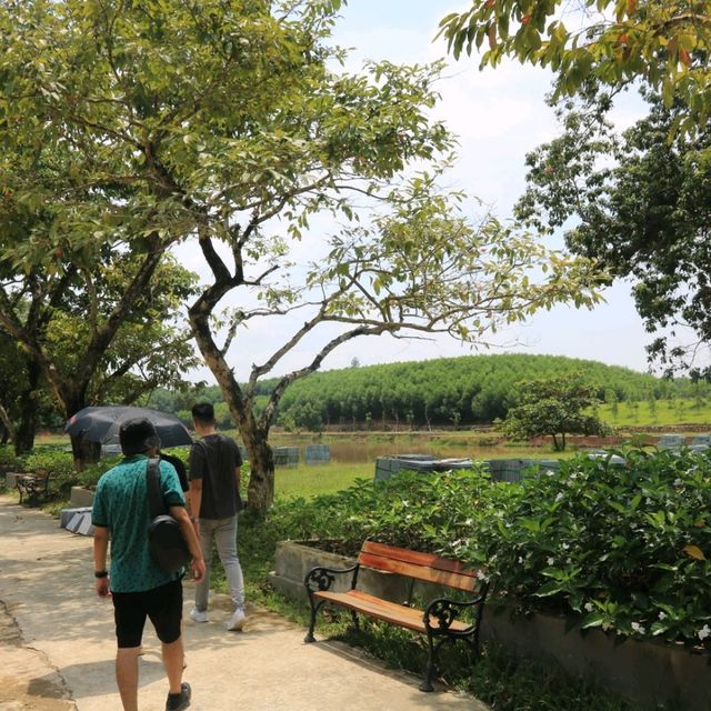 Gia Long tomb: Tribute to Vietnam's Founding Father