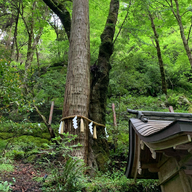夏は涼しげな貴船神社へ